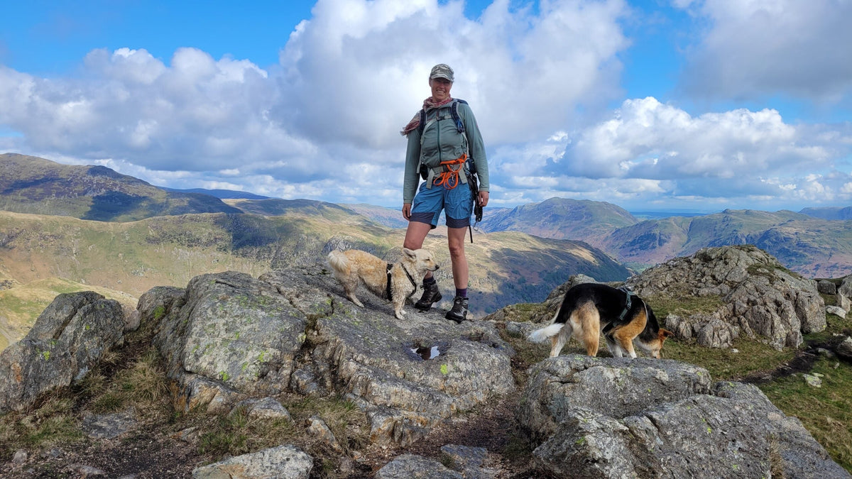 Reisen durch Europa für Menschen mit Hunden