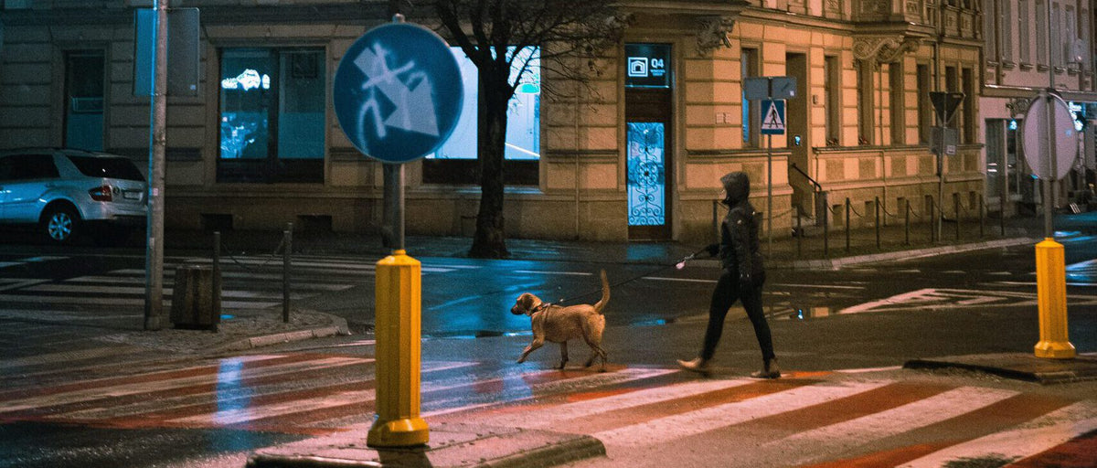 Spaziergänge mit dem Hund in der Dunkelheit