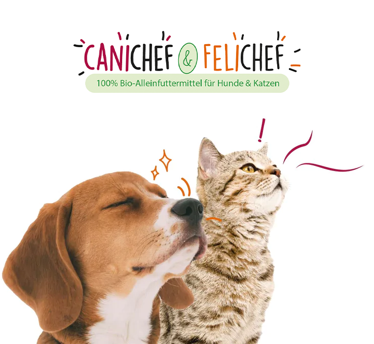 Canichef & Felichef